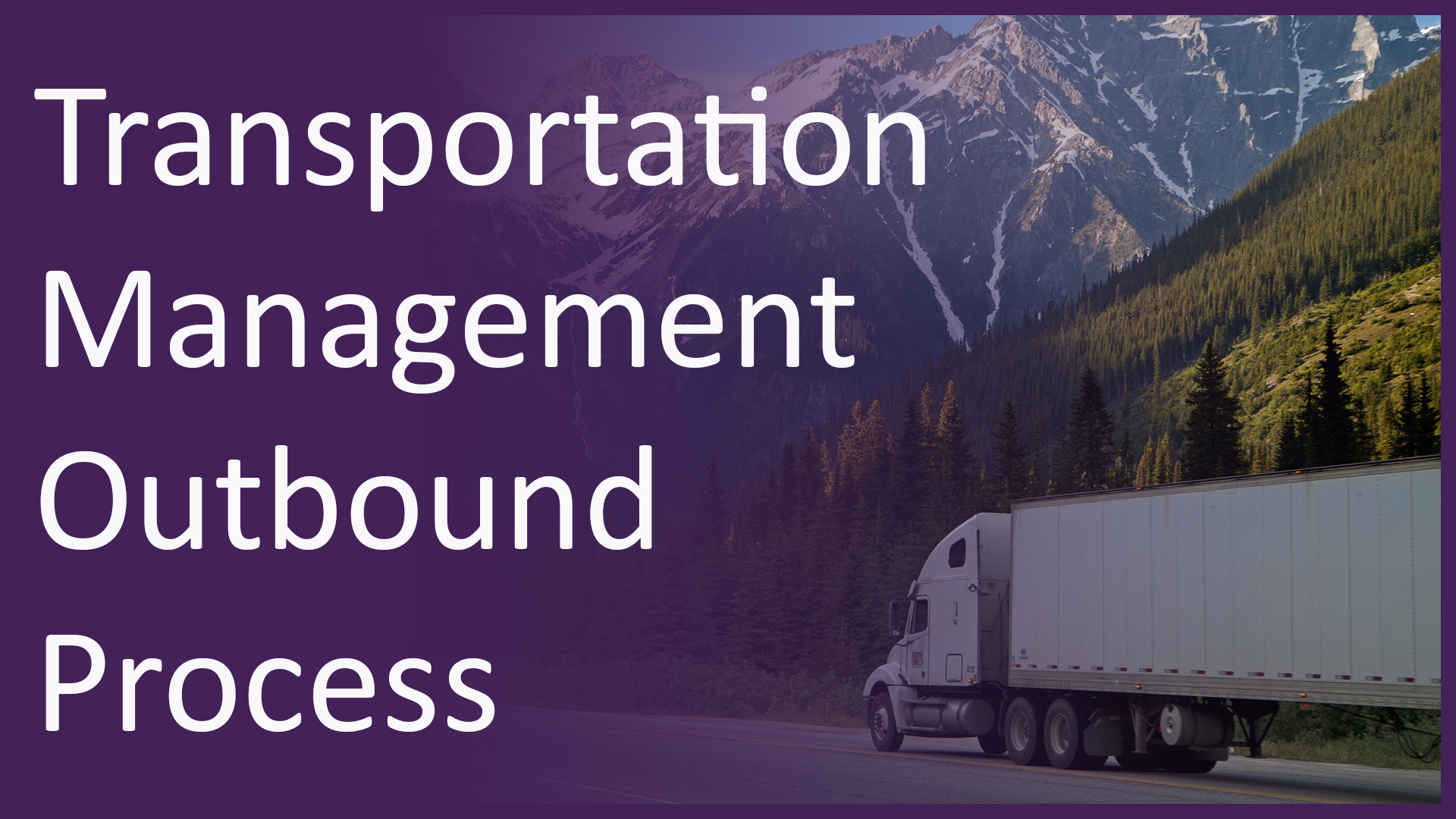 Read more about the article Transportation Management Outbound Process